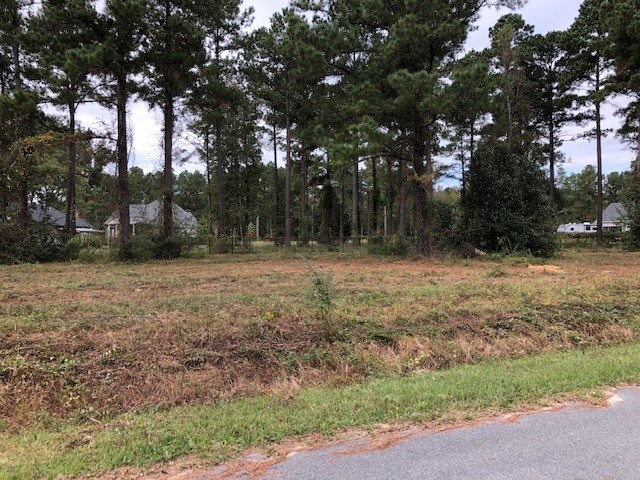 More Photos Of Wood Oak Cir, Cochran Land For Sale