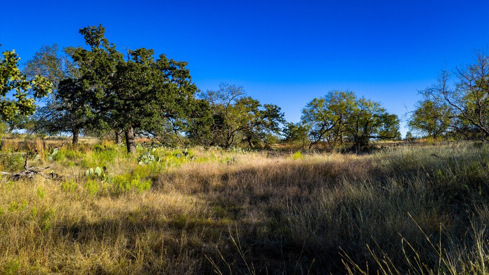 More Photos Of 7499 US 87 hwy, Mason Land For Sale