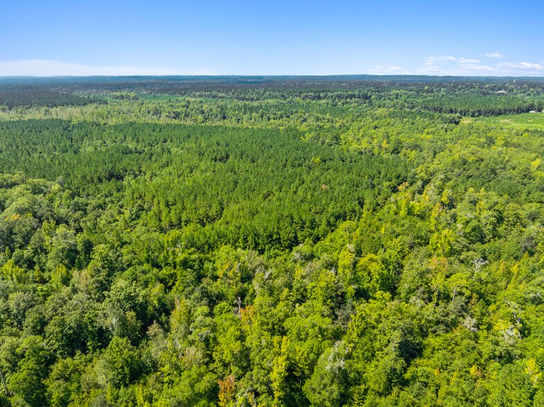 More Photos Of 7471 Highway 155, Saline Land For Sale