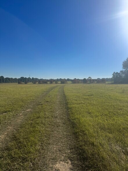 More Photos Of 954 Old Jackson Rd, Canton Land For Sale