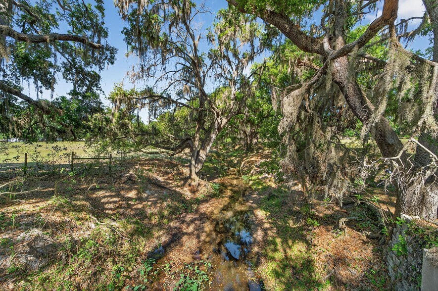 More Photos Of Carlton Rd, Plant City Land For Sale