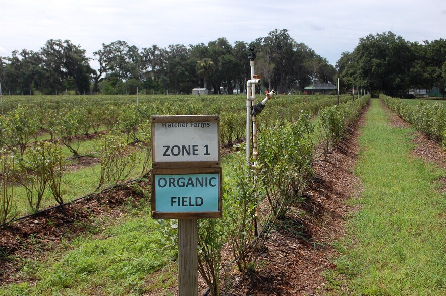 More Photos Of 18811 SE 243rd St, Hawthorne Specialty For Sale