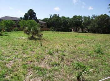 More Photos Of 10231 Memorial Hwy, Tampa Land For Sale