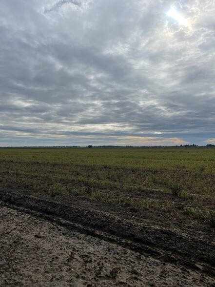 Primary Photo Of COUNTY RD. 98, Davis Land For Sale