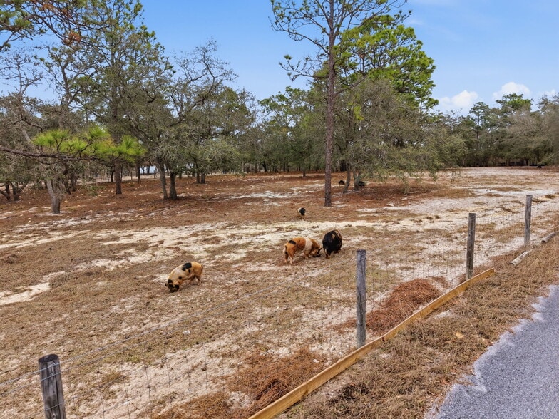 More Photos Of 12124 Squeeze Ave, Brooksville Land For Sale