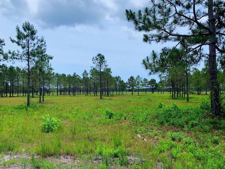 More Photos Of 0 0 NC 130/ 343 NC 1321, Ash Land For Sale