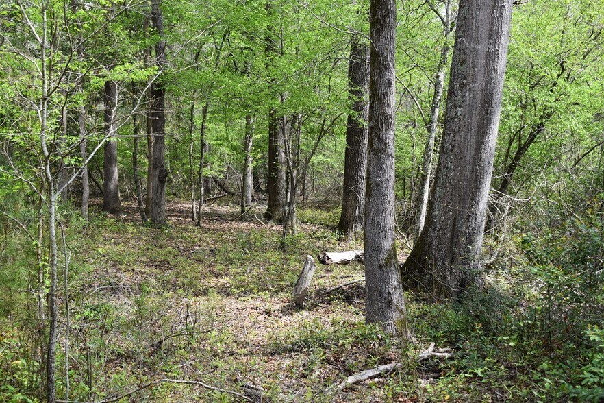 More Photos Of 25.4 ac W Austin Street w, Nacogdoches Land For Sale