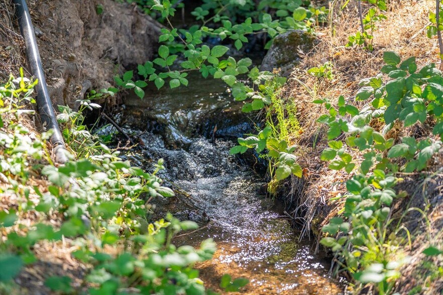 More Photos Of 31630 Forwards Rd, Manton Land For Sale