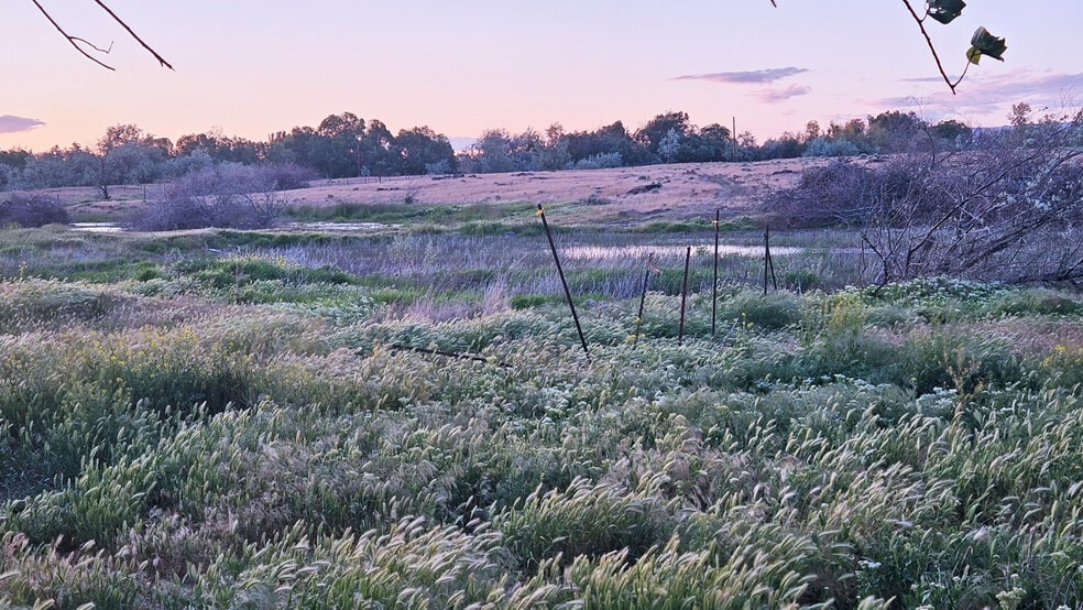 More Photos Of 125498 W Mccreadie Rd, Prosser Land For Sale