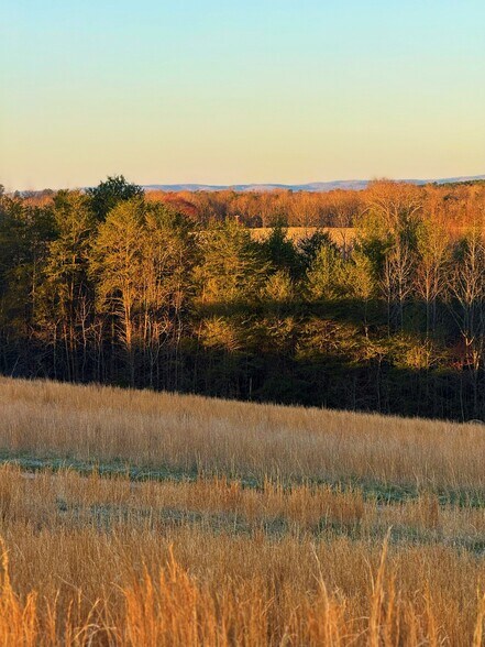 More Photos Of 142 Mace Rd, Casar Land For Sale