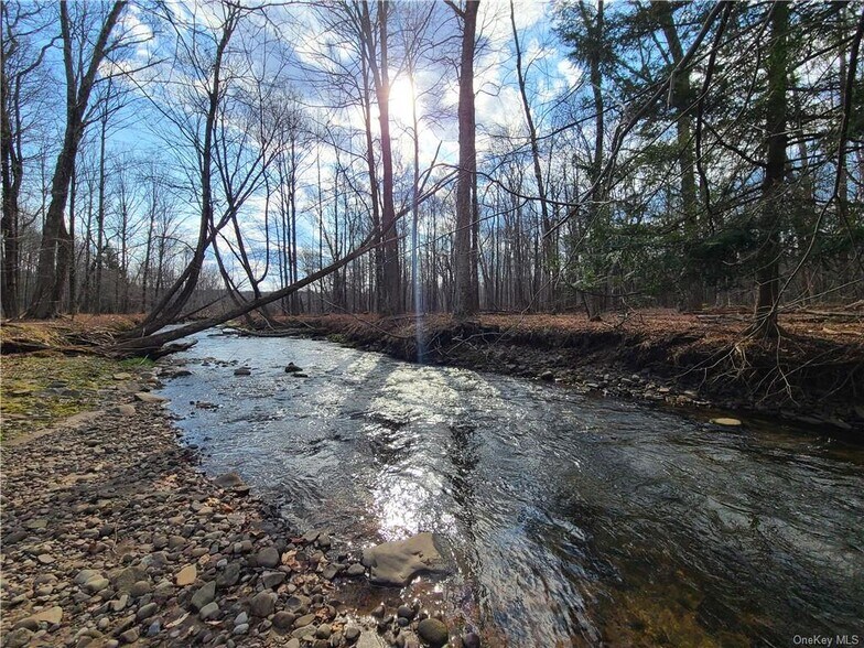 More Photos Of Rt. 52, White Sulphur Springs Land For Sale