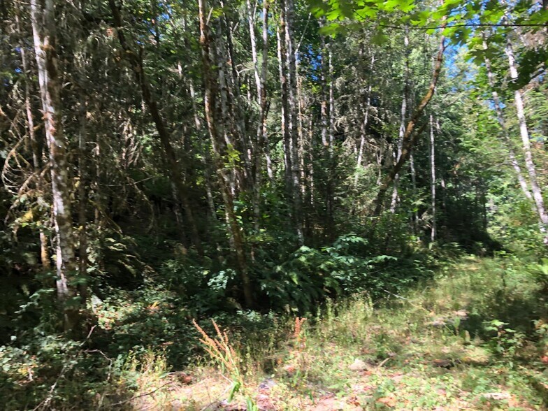 More Photos Of XXX Phillips, Port Orchard Land For Sale