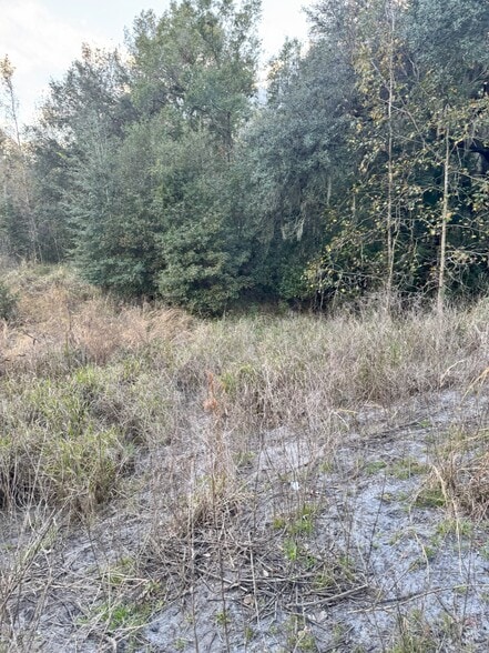 More Photos Of 2501 Oveido Marketplace Blvd, Oviedo Land For Sale