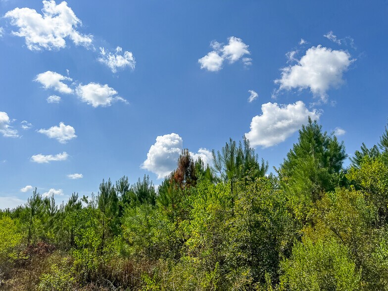 More Photos Of FM 1010 @ Loop 105, Cleveland Land For Sale