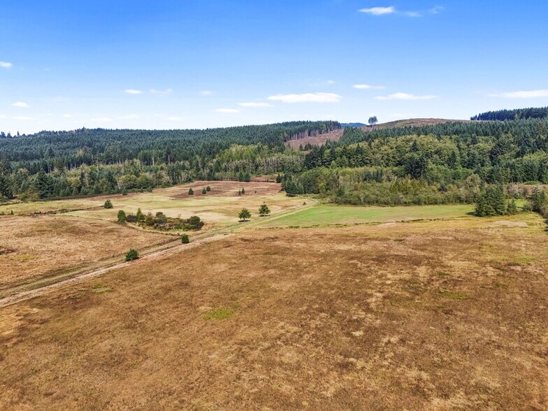 More Photos Of 104 Bills Ln, Onalaska Land For Sale
