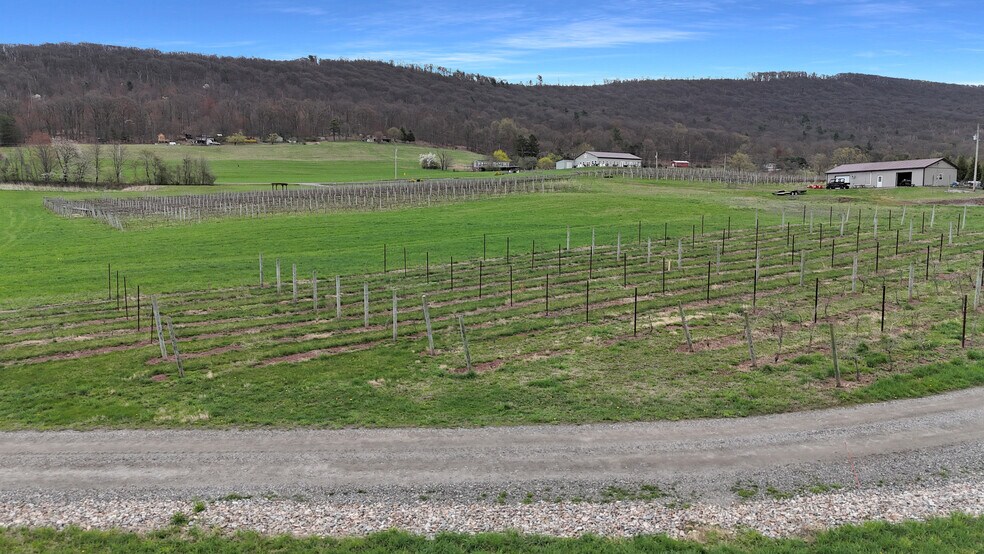 More Photos Of 596 Harman Rd, Halifax Winery Vineyard For Sale