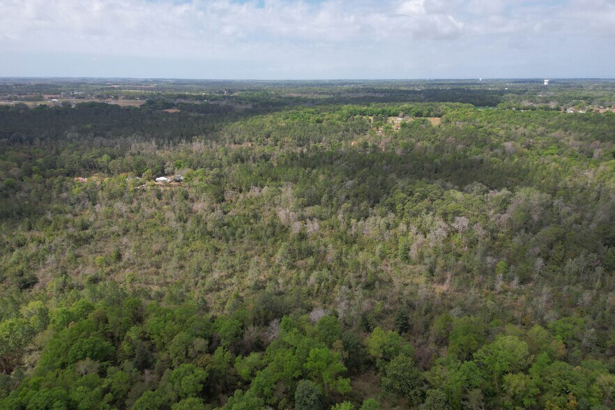 More Photos Of 12960 County Road 48, Silverhill Land For Sale