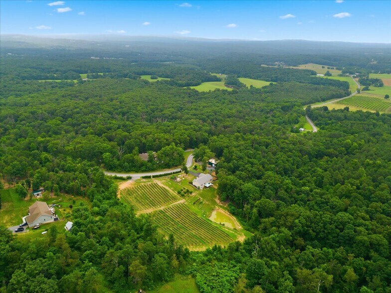 More Photos Of 1309 Redland Rd, Cross Junction Winery Vineyard For Sale