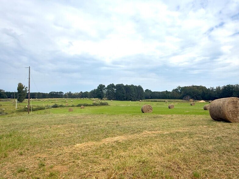 More Photos Of 715 SC-246, Greenwood Land For Sale