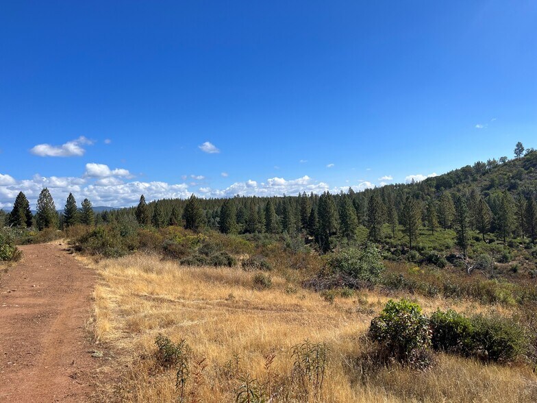 More Photos Of 7559 Alamo Rd, Mountain Ranch Land For Sale