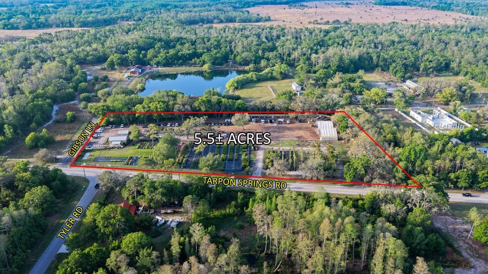 More Photos Of 12980 Tarpon Springs Rd, Odessa Land For Sale