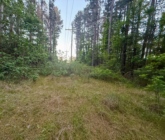 More Photos Of State Highway 75 South, Huntsville Land For Sale