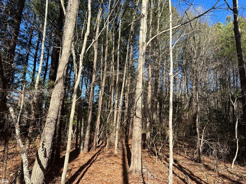 More Photos Of 00 Taylors Beach rd, Reedville Land For Sale