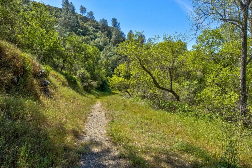 More Photos Of 4780-4784 Mary Harrison Mine Rd, Coulterville Land For Sale