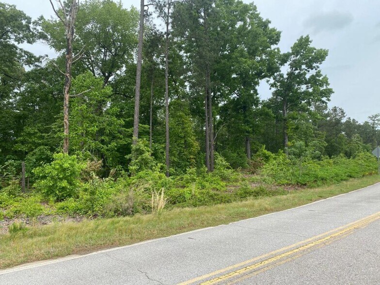 More Photos Of 628 Highway 601, Lugoff Land For Sale