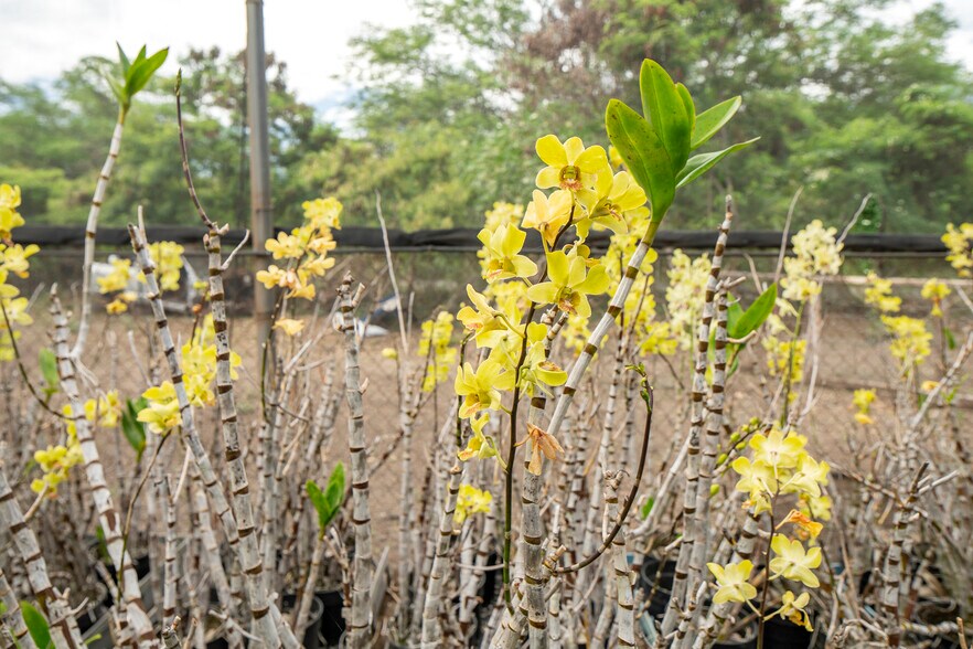 More Photos Of 86-347 Halona Rd, Waianae Contractor Storage Yard For Sale