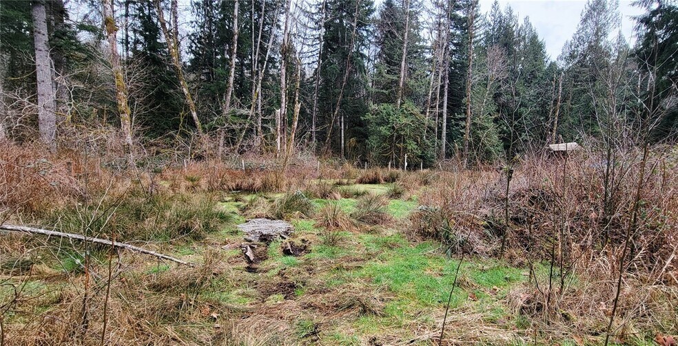 More Photos Of 7836 Delphi Rd SW, Olympia Land For Sale