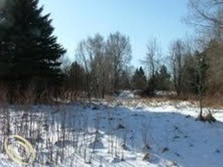 More Photos Of 823 N Lapeer Rd, Orion Township Land For Lease