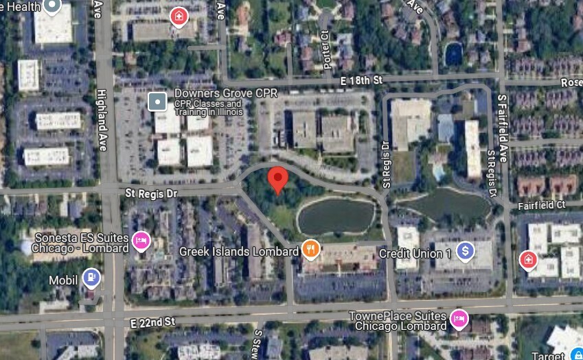 More Photos Of 250 St Regis Dr, Lombard Land For Sale