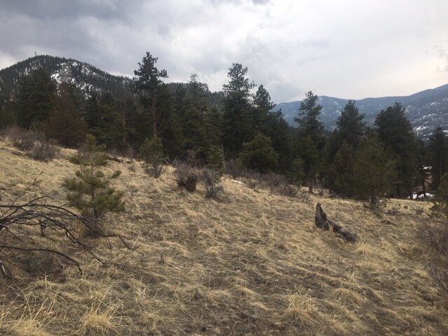 More Photos Of 62430 US Highway 285, Bailey Land For Sale