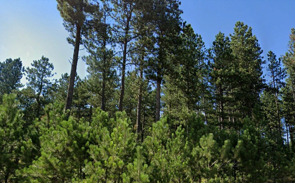 More Photos Of 21301 Vanocker Canyon Road, Sturgis Land For Sale