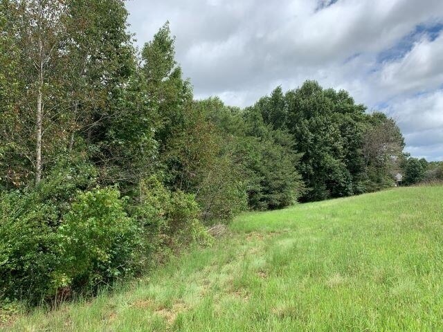 More Photos Of 7322 Tribble Gap Rd, Alto Land For Sale