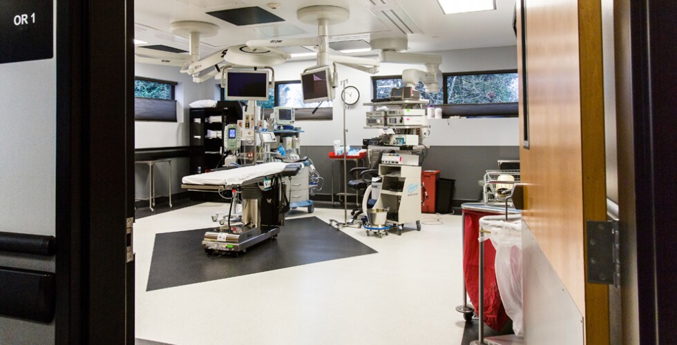 More Photos Of 1128 NE 2nd St, Corvallis Office For Sale