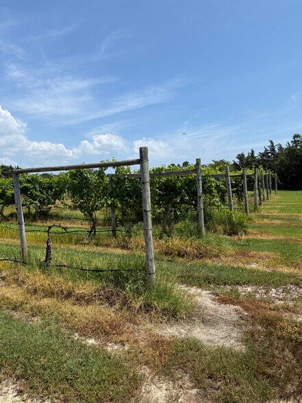 More Photos Of 221 N Delsea Dr, Cape May Court House Winery Vineyard For Sale