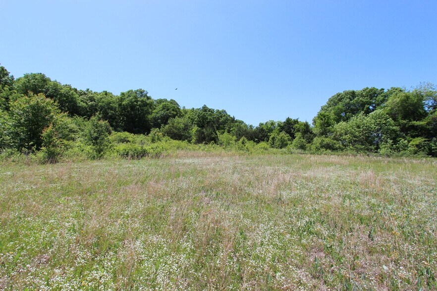 More Photos Of 278 Highway 64 E, Conway Land For Sale