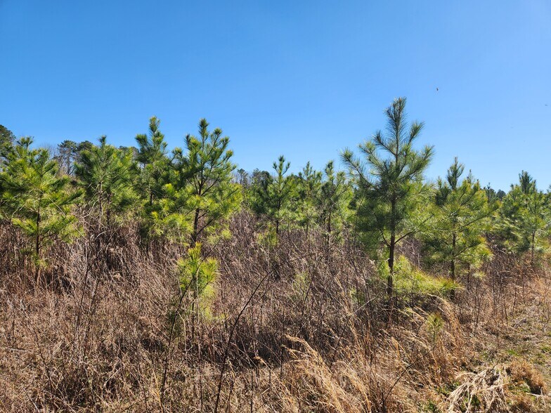 More Photos Of 3004 U.S. 401 Hwy, Louisburg Land For Sale