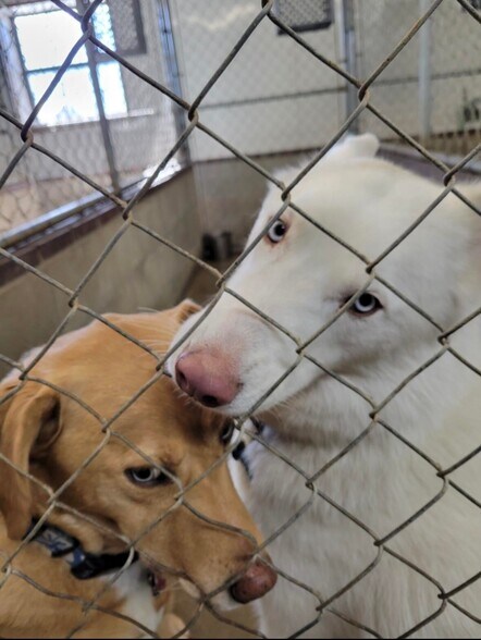 More Photos Of 1642 W Inman Rd, Nixa Office Residential For Sale