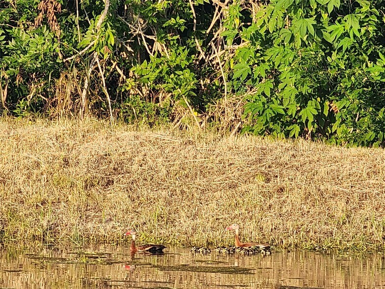 More Photos Of 333 24th St, San Leon Land For Sale