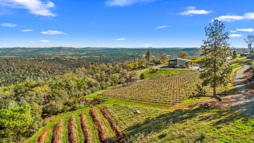 More Photos Of 6781 Tower, Somerset Winery Vineyard For Sale