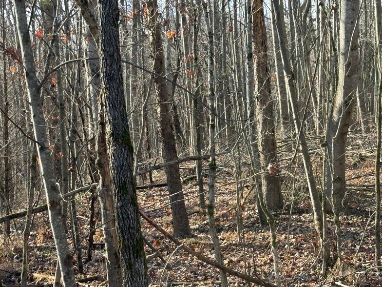 More Photos Of 4604 Summersville Rd, Campbellsville Land For Sale