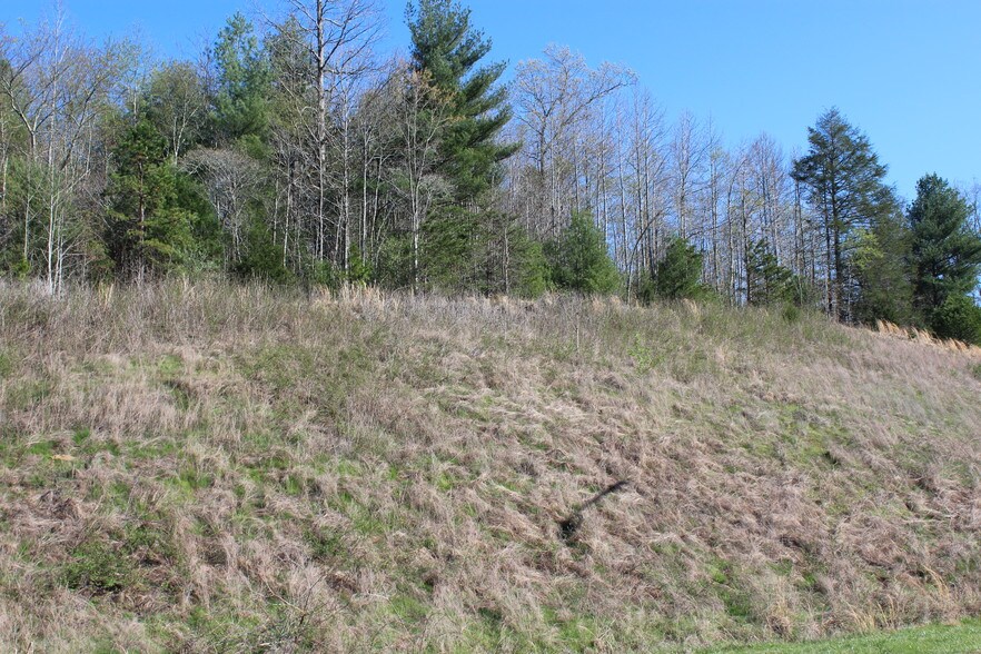 Primary Photo Of Hickory Blvd & McClean Dr, Lenoir Land For Sale