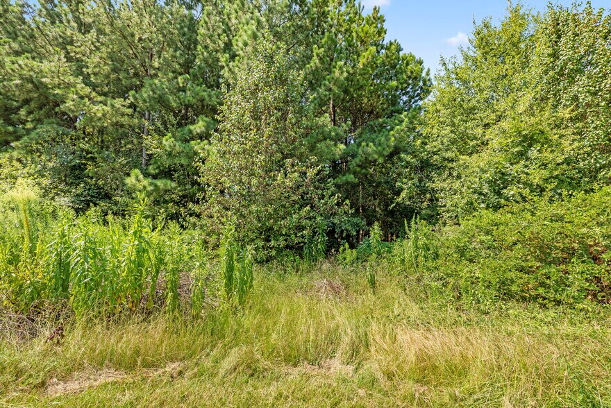 More Photos Of 1244 E Butler Rd, Greenville Land For Sale
