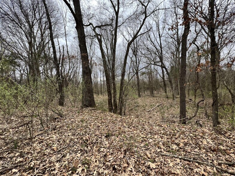 More Photos Of 00 US Highway 51, De Soto Land For Sale