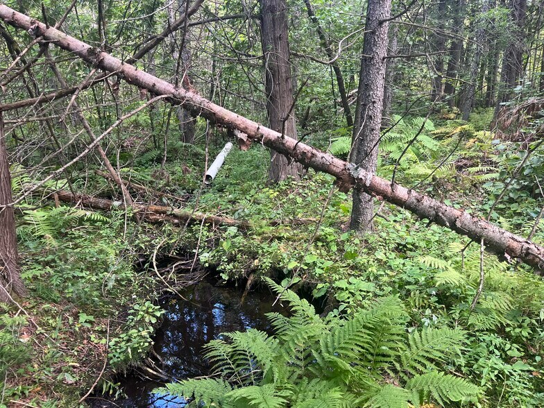 More Photos Of US Highway 141, Wausaukee Land For Sale