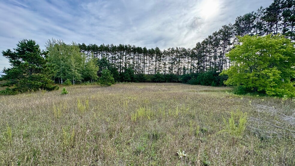 More Photos Of 1662 N Mitchell St, Cadillac Land For Sale