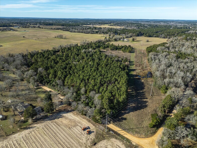 Primary Photo Of NW Corner CR 1890 & CR 1895, Grapeland Land For Sale